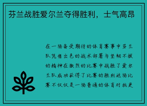 芬兰战胜爱尔兰夺得胜利，士气高昂